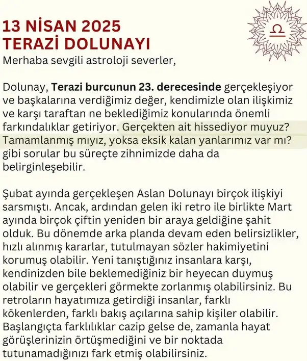 t14 (1).webp