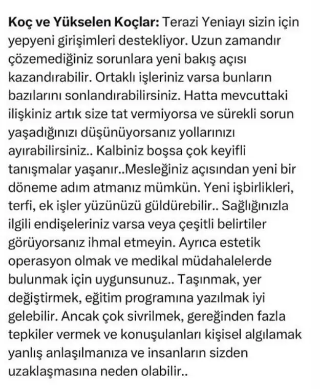 t14 (1).webp