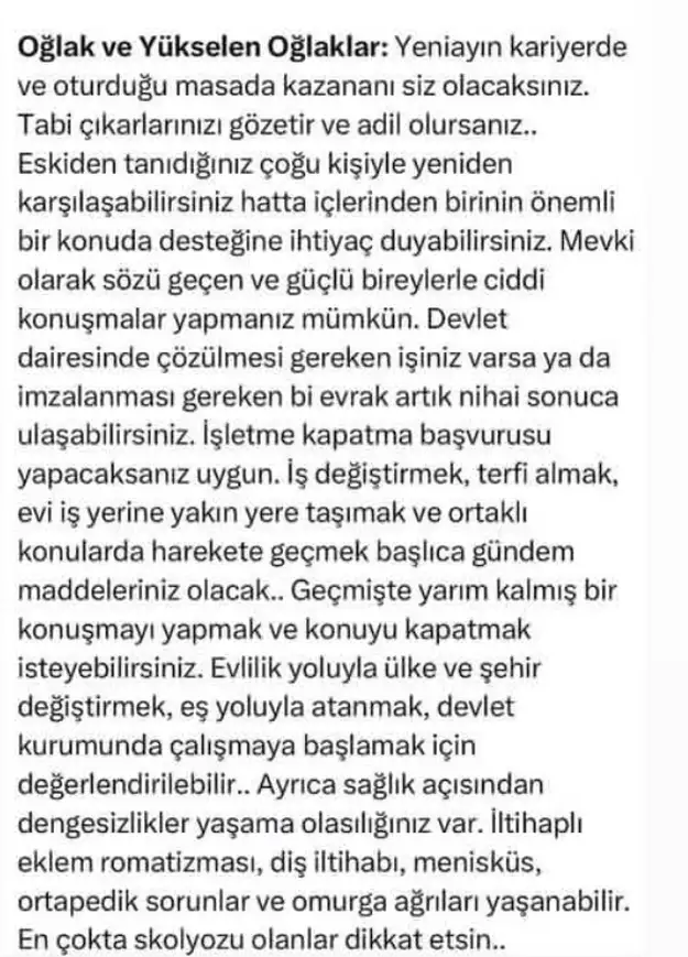 t14 (10).webp