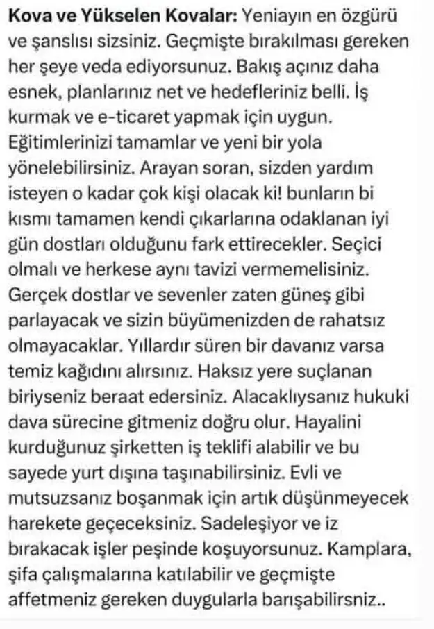 t14 (11).webp