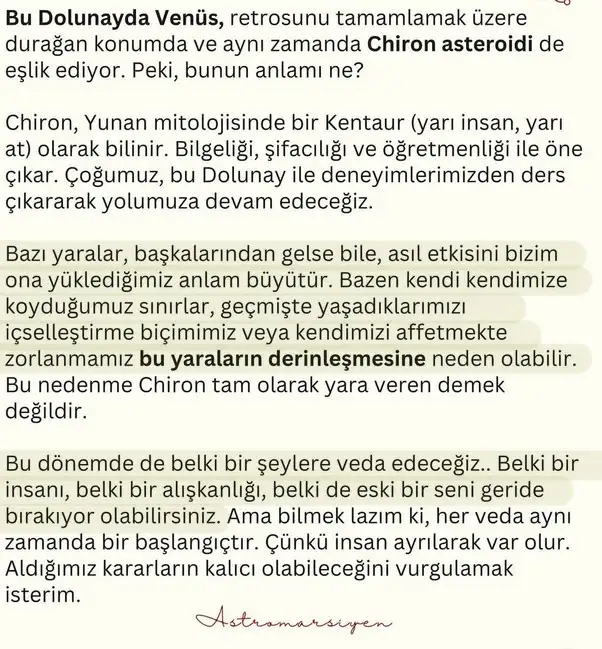 t14 (2).webp