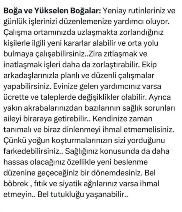 t14 (2).webp