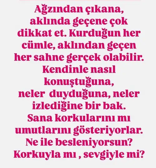 t14 (4).webp
