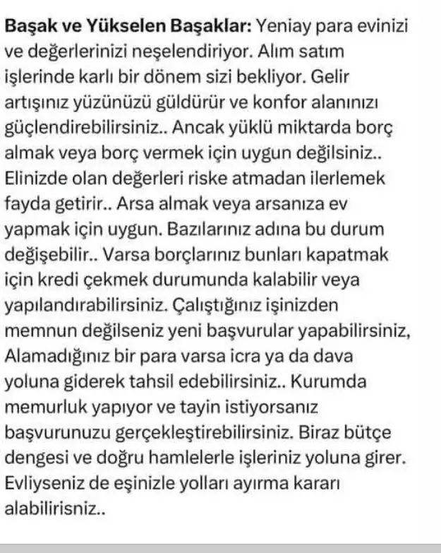 t14 (6).webp