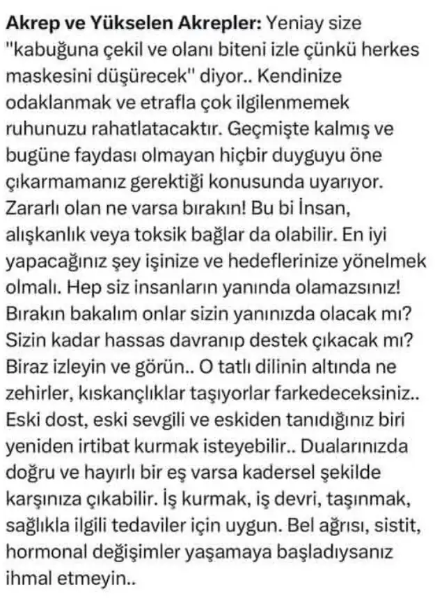 t14 (8).webp