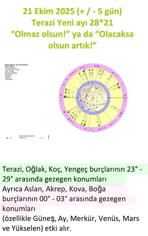 t15 (1).webp