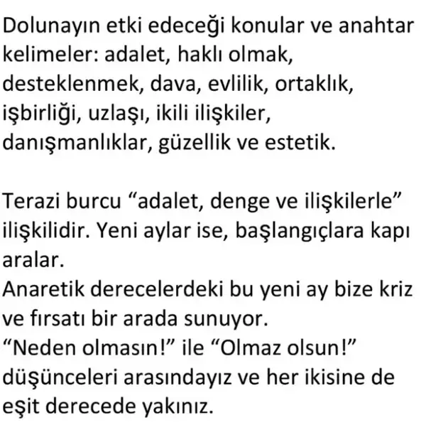 t15 (2).webp