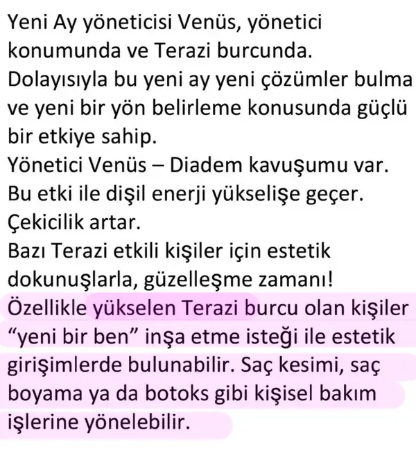 t15 (4).webp