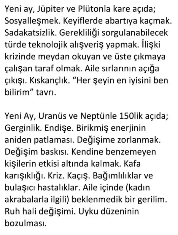 t15 (5).webp