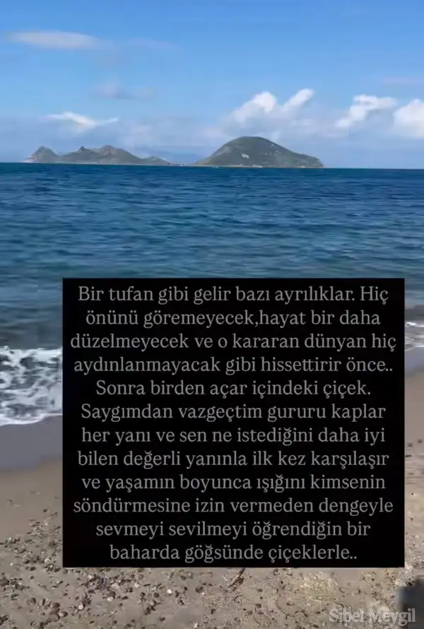 t15.webp