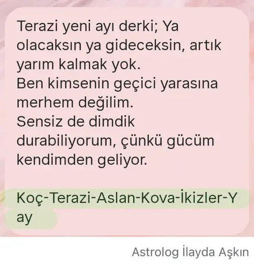 t15.webp