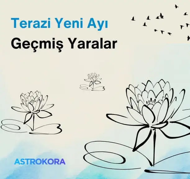 t16 (1).webp