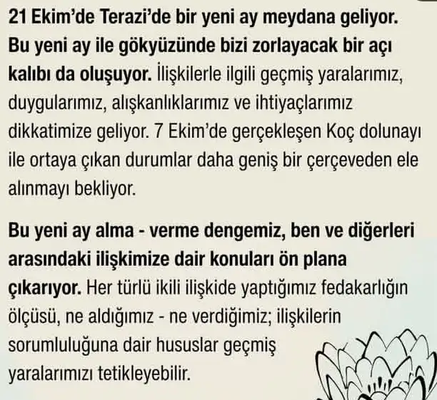 t16 (2).webp