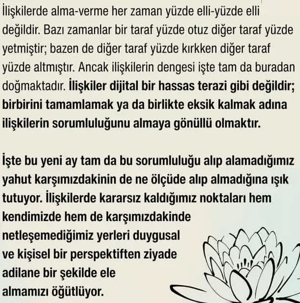 t16 (3).webp