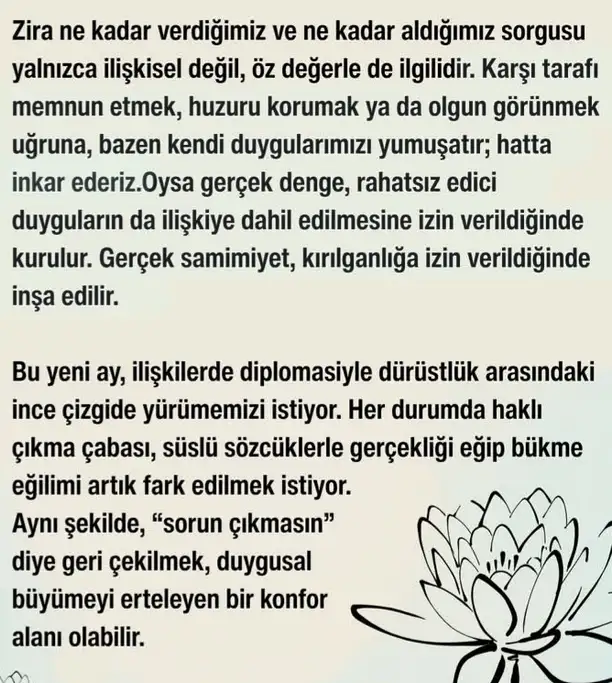 t16 (4).webp