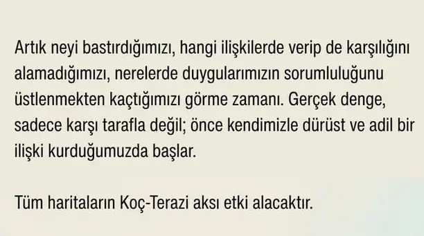 t16 (5).webp