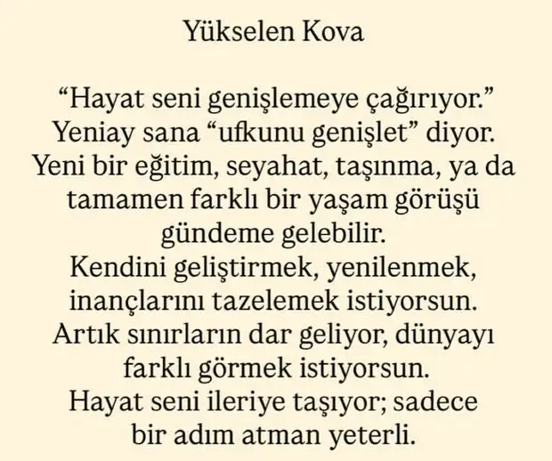 t17 (12).webp