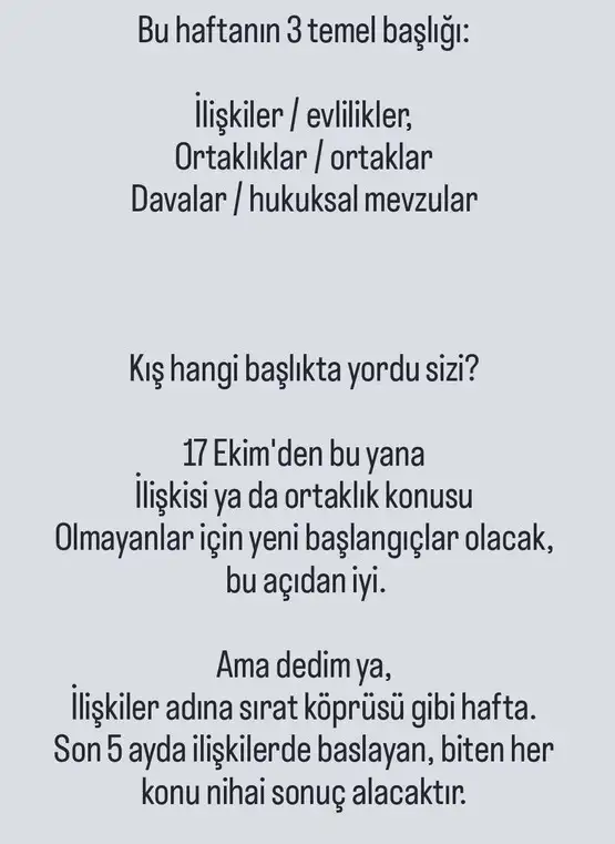 t17 (3).webp