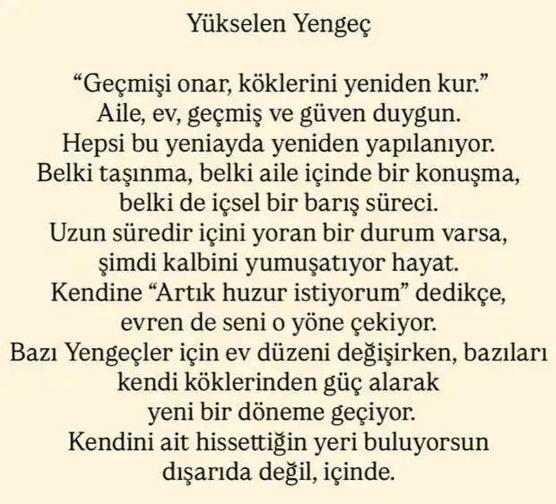 t17 (5).webp