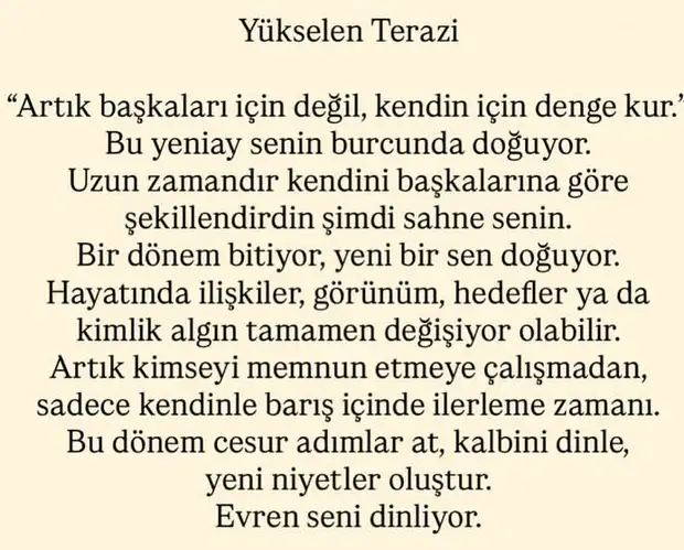 t17 (8).webp