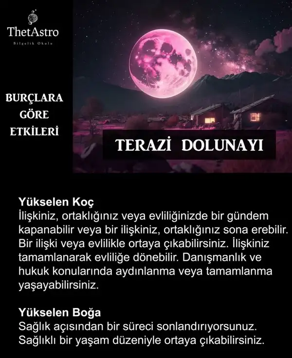 t18 (1).webp