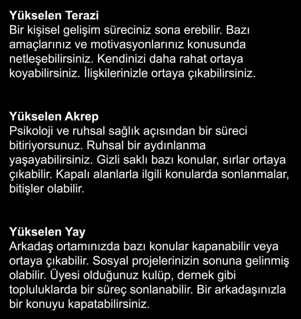 t18 (4).webp