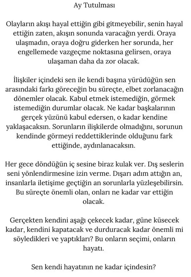 t19 (1).webp