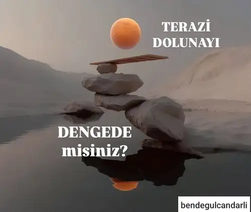 t19 (1).webp