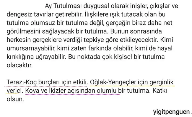 t19 (2).webp