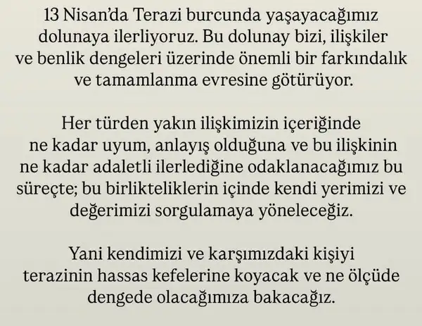 t19 (2).webp