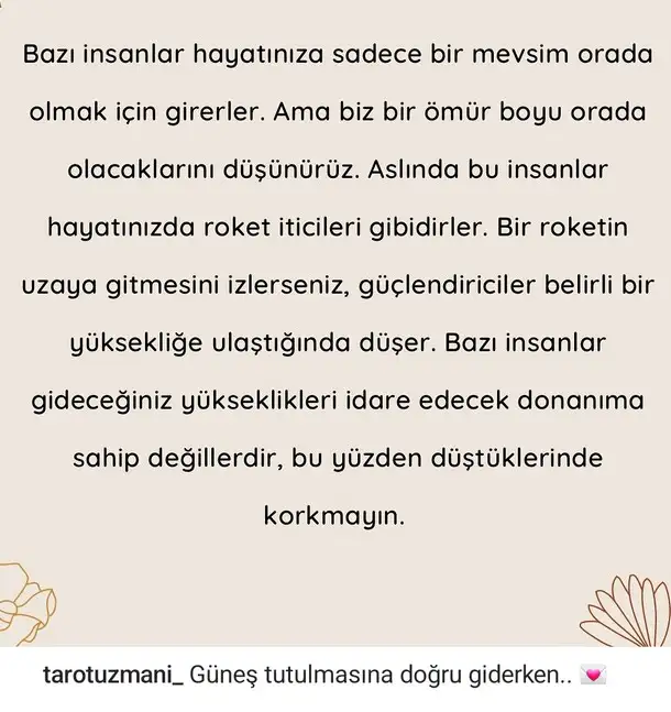 t19.webp