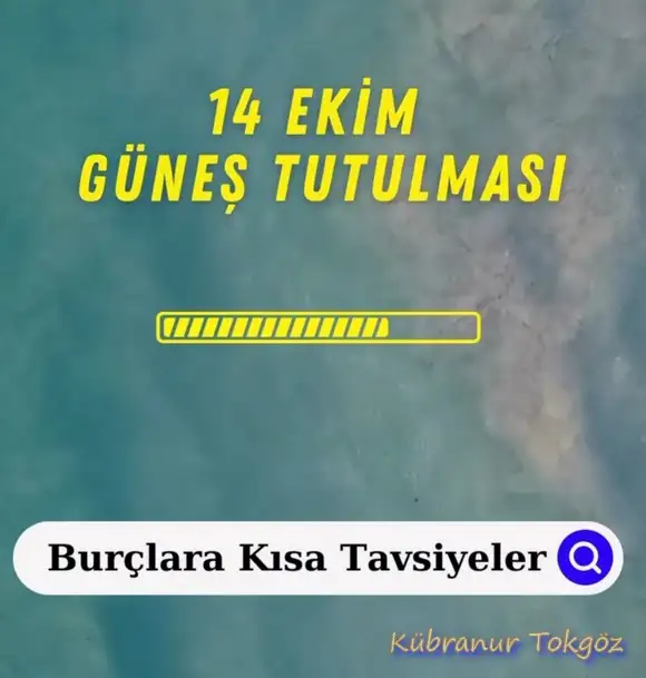 t2 (1).webp