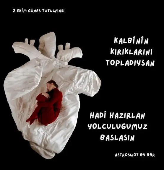 t2 (1).webp