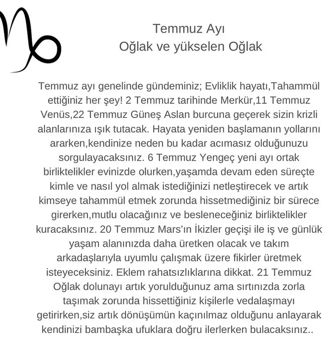 t2 (10).webp