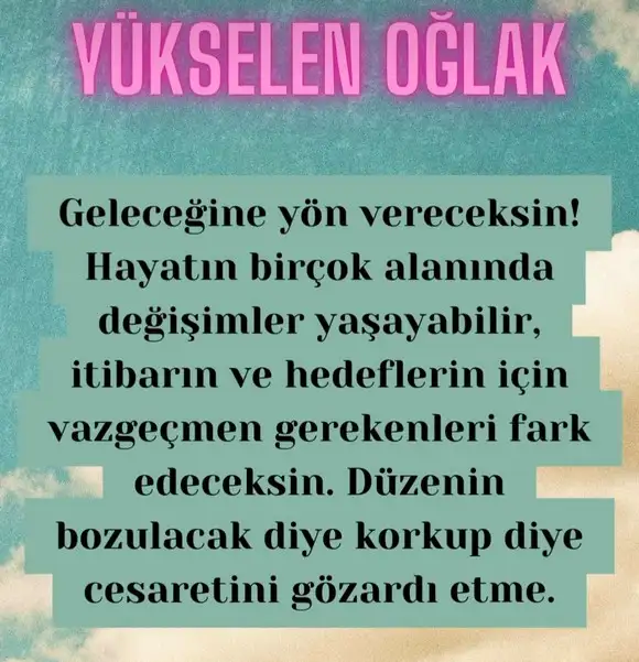 t2 (11).webp