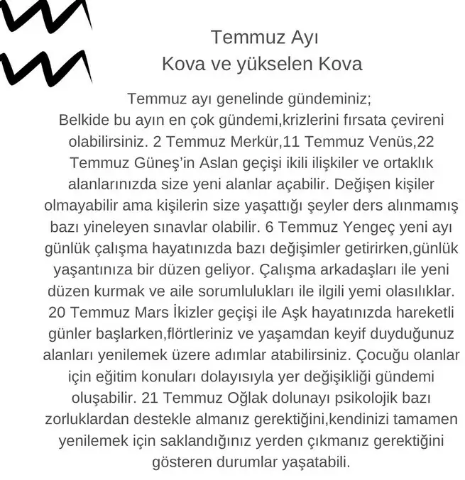 t2 (11).webp