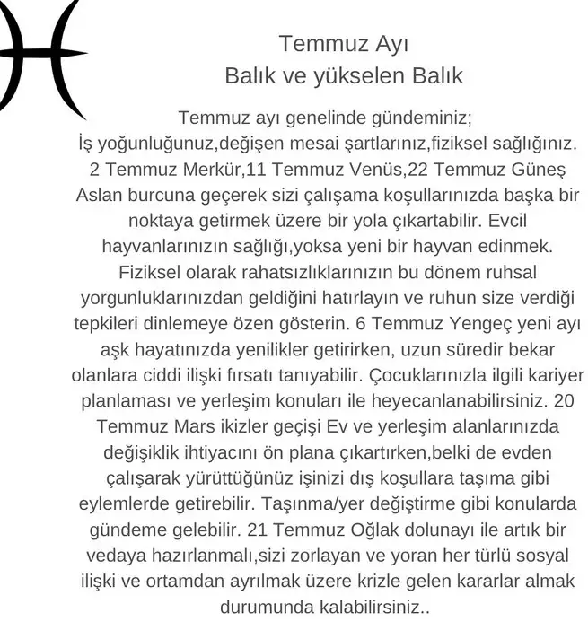 t2 (12).webp
