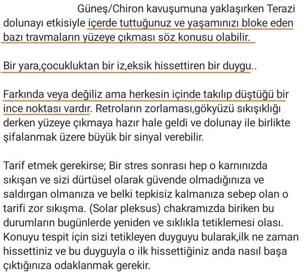 t2 (2).webp
