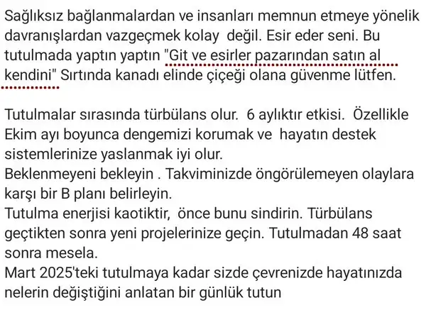 t2 (3).webp