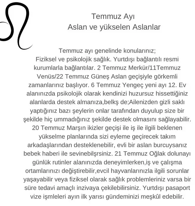 t2 (5).webp