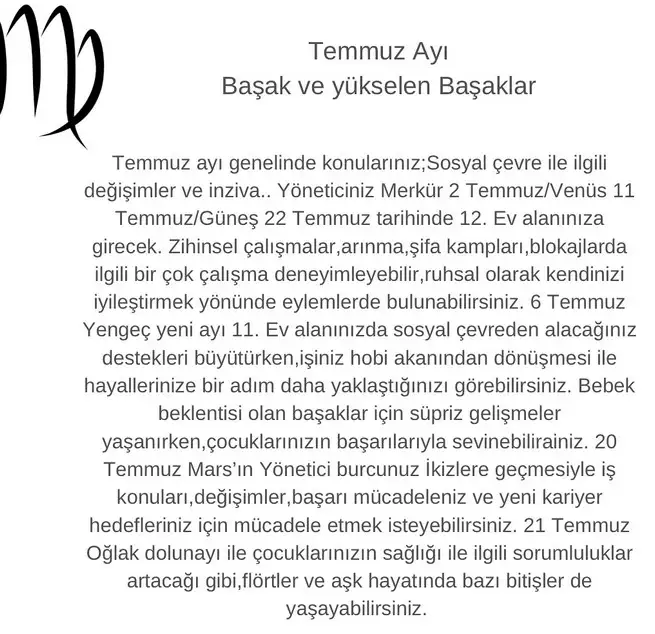t2 (6).webp