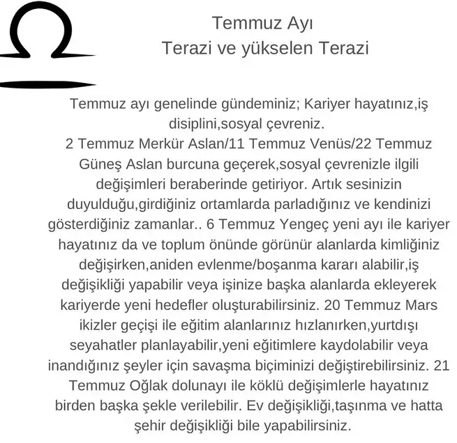 t2 (7).webp