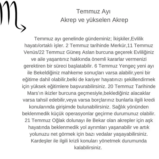 t2 (8).webp