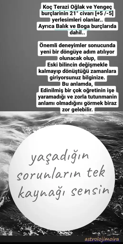 t2.webp