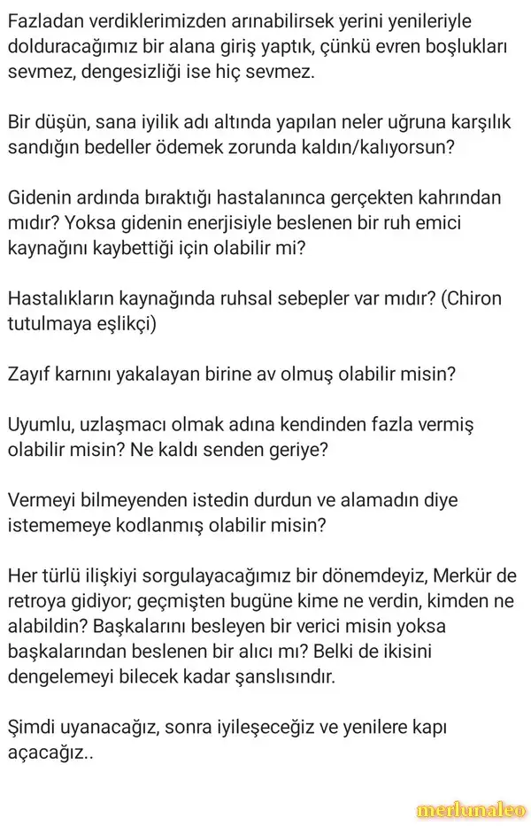 t20 (2).webp