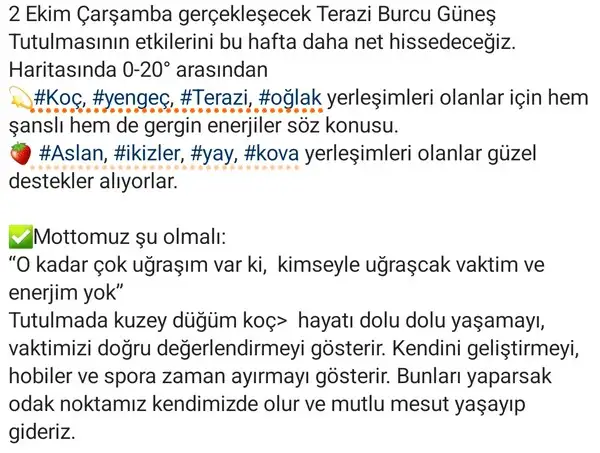 t20 (2).webp