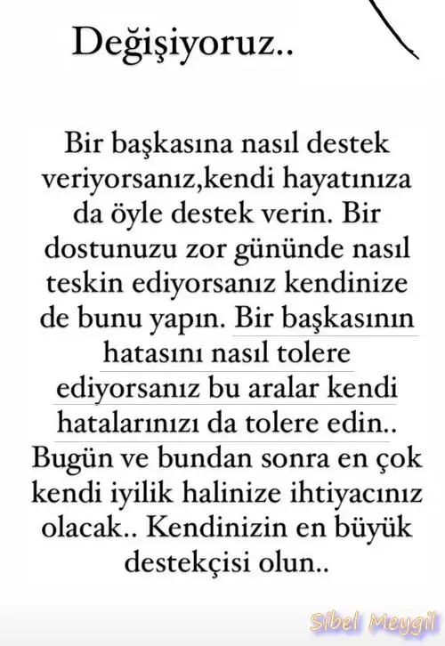 t20 (3).webp