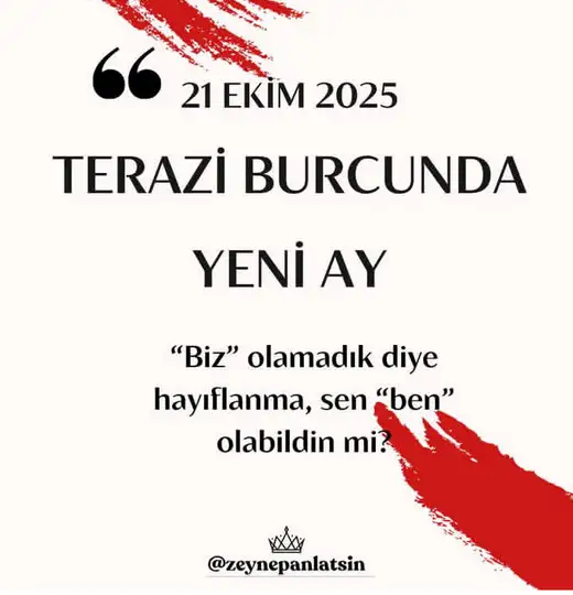 t21 (1).webp