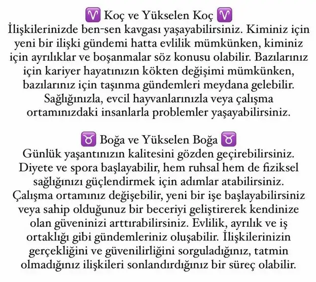 t21 (2).webp