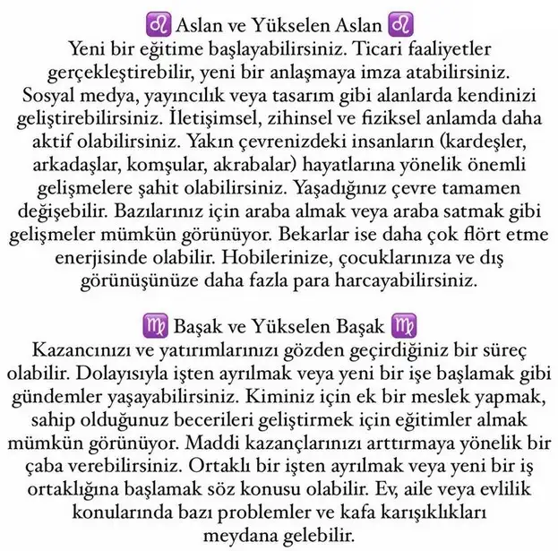 t21 (4).webp